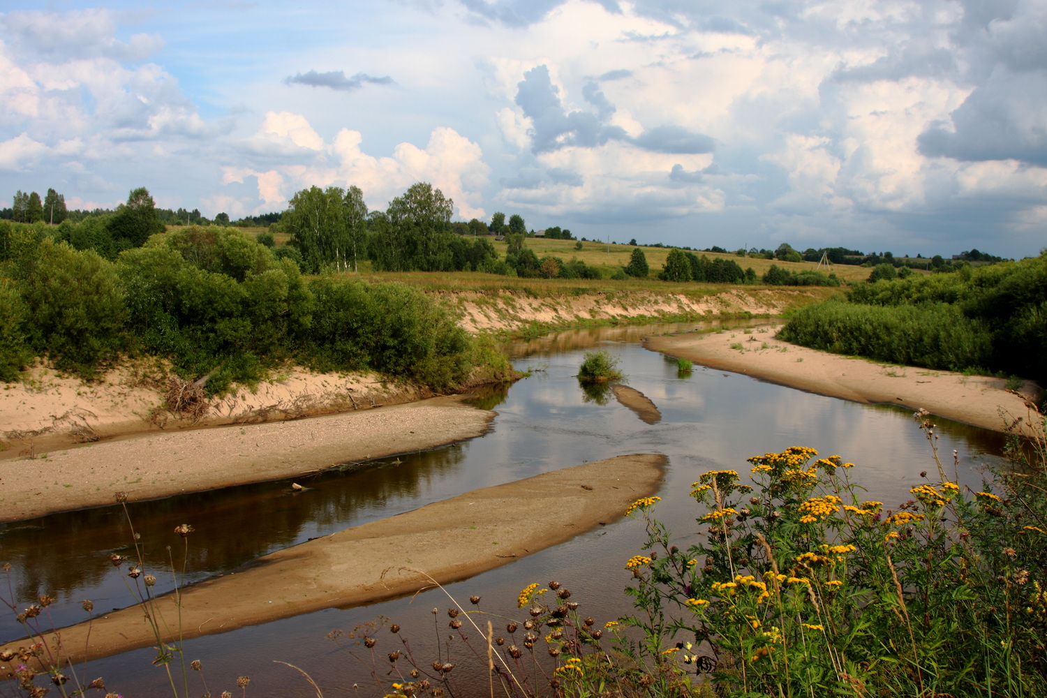 Место на реке Толшме, описанное в стихотворении Николая Рубцова «Жар-птица». 2012. Фото: Андрей Кошелев