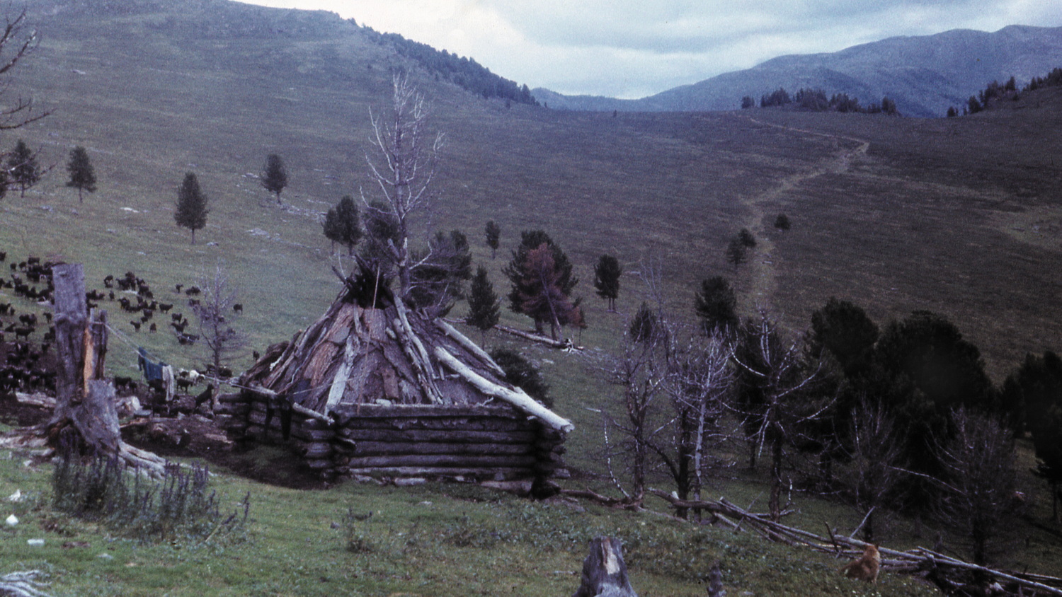 Из серии «Алтай». 1982. Фото: Андрей Кошелев