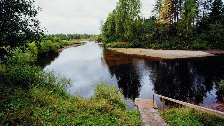 Река Юг на Бобришном Угоре. 2004. Фото: Андрей Кошелев