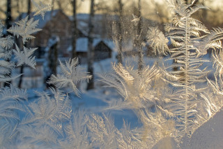Фото: Андрей Кошелев, 2016