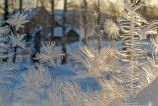 Фото: Андрей Кошелев, 2016