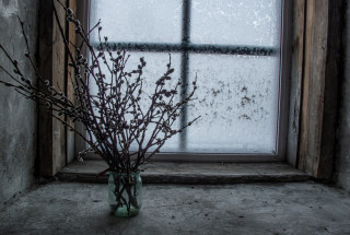 Фото: Андрей Кошелев, 2016