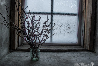 Фото: Андрей Кошелев, 2016