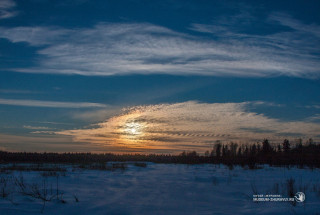 Фото: Андрей Кошелев, 2016