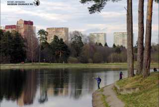 Озеро Водокачка. Создано для снабжения водой паровозов на станции Крюково. 2011. Фото: Андрей Кошелев