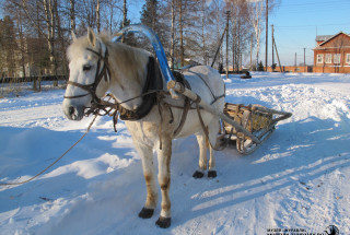 Из серии «Зима на Толшме». 2012. Фото: Андрей Кошелев