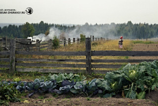 Из серии «Яшин. Бобришный угор». 2008. Фото: Андрей Кошелев