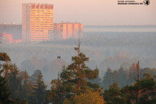 За соснами – Панфиловский проспект в тумане и район Силино. 2007. Фото: Андрей Кошелев