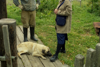 Из серии «Яшин. Бобришный угор». 2008. Фото: Андрей Кошелев