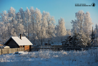 Из серии «Зима на Толшме». 2018. Фото: Андрей Кошелев 